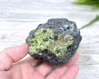Peridot Crystals on Basalt #4