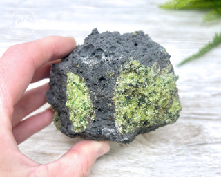Peridot Crystals on Basalt #4