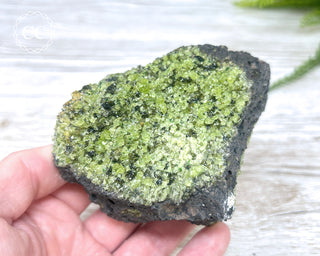 Peridot Crystals on Basalt #5