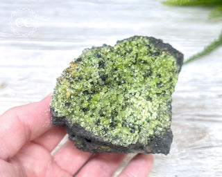 Peridot Crystals on Basalt #5