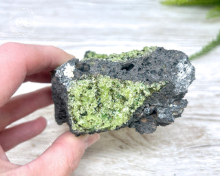 Peridot Crystals on Basalt #5