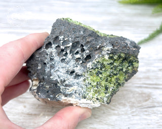 Peridot Crystals on Basalt #5