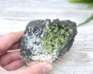 Peridot Crystals on Basalt #5