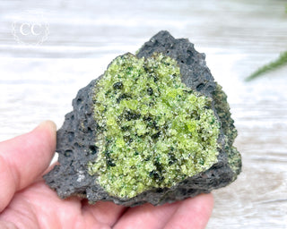 Peridot Crystals on Basalt #6