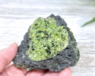 Peridot Crystals on Basalt #6