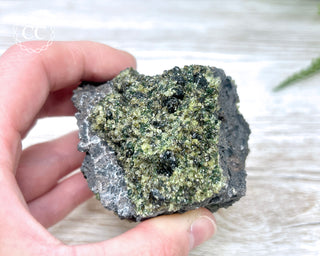 Peridot Crystals on Basalt #6