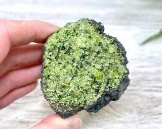 Peridot Crystals on Basalt #7