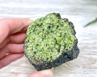 Peridot Crystals on Basalt #7