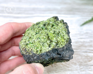 Peridot Crystals on Basalt #7