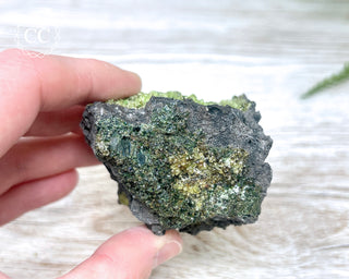 Peridot Crystals on Basalt #7