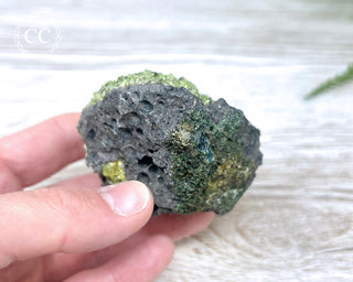 Peridot Crystals on Basalt #7
