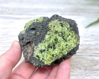 Peridot Crystals on Basalt #8