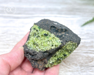 Peridot Crystals on Basalt #8