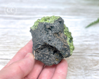 Peridot Crystals on Basalt #8