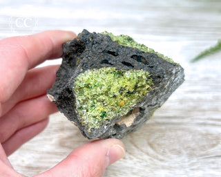 Peridot Crystals on Basalt #8