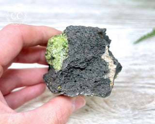 Peridot Crystals on Basalt #8