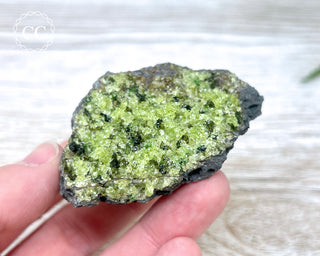 Peridot Crystals on Basalt #9