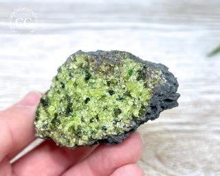 Peridot Crystals on Basalt #9