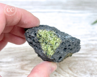 Peridot Crystals on Basalt #9