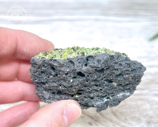 Peridot Crystals on Basalt #9
