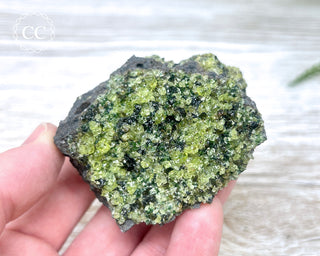 Peridot Crystals on Basalt #10