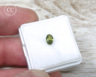 Peridot Faceted Gem
