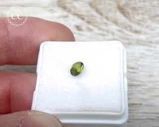 Peridot Faceted Gem