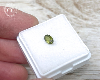 Peridot Faceted Gem
