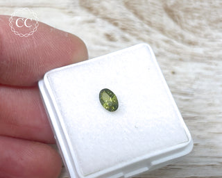 Peridot Faceted Gem