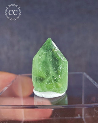 A terminated Peridot crystal from Sapat Gali in Pakistan displayed on a clear display box 