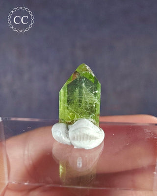 Peridot Terminated Crystal #2