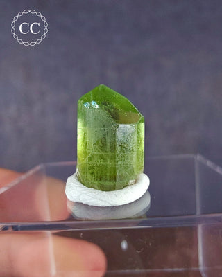 A terminated Peridot crystal from Sapat Gali in Pakistan displayed on a clear display box 