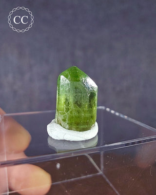 Peridot Terminated Crystal #3