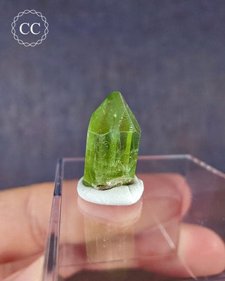 Peridot Terminated Crystal #3