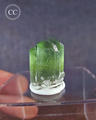 A terminated Peridot crystal from Sapat Gali in Pakistan displayed on a clear display box 