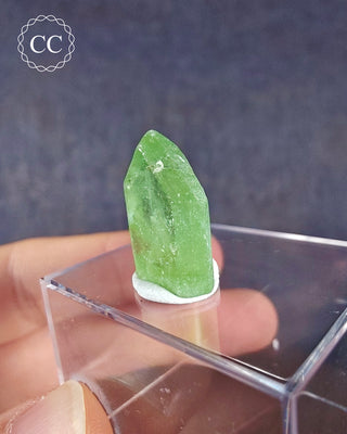 Peridot Terminated Crystal #1