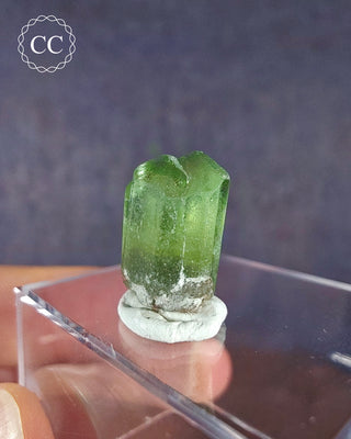 Peridot Terminated Crystal #4
