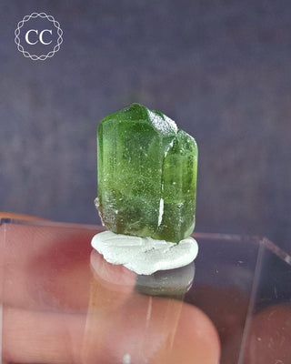 Peridot Terminated Crystal #4