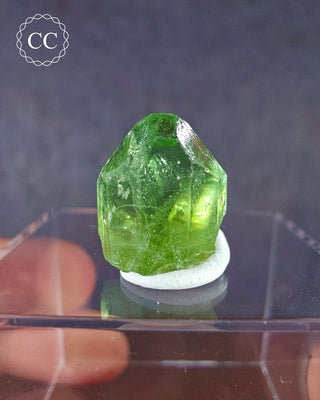 A terminated Peridot crystal from Sapat Gali in Pakistan displayed on a clear display box 