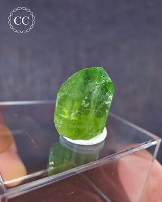 Peridot Terminated Crystal #5