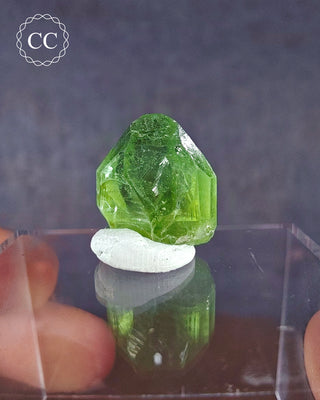 Peridot Terminated Crystal #5