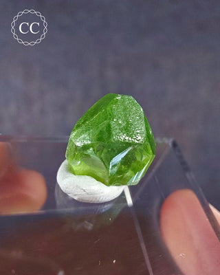 Peridot Terminated Crystal #5