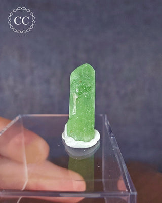 Peridot Terminated Crystal #1