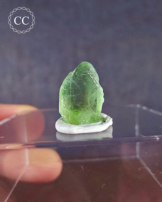 A terminated Peridot crystal from Sapat Gali in Pakistan displayed on a clear display box 