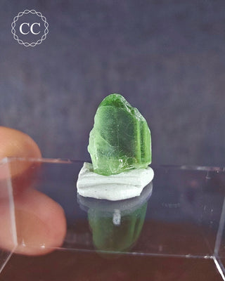 Peridot Terminated Crystal #6