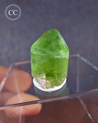 A terminated Peridot crystal from Sapat Gali in Pakistan displayed on a clear display box 