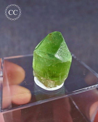 Peridot Terminated Crystal #7