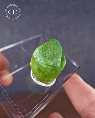 Peridot Terminated Crystal #7