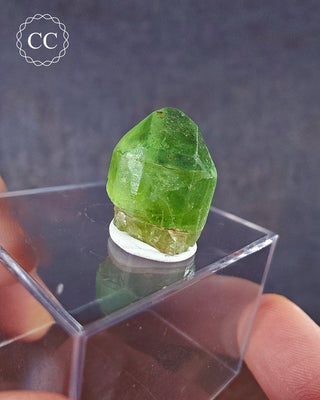Peridot Terminated Crystal #7