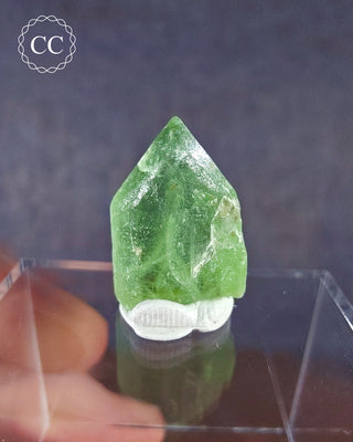 Peridot Terminated Crystal #1